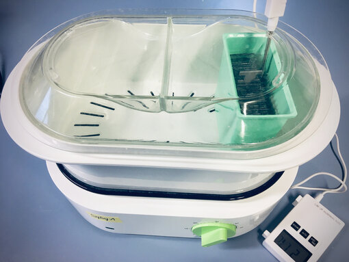 Food steamer for Antigen Retrieval